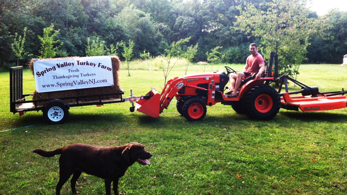 Tractor working on a New Jersey turkey farm with farm dog at Spring Valley Turkey Farm