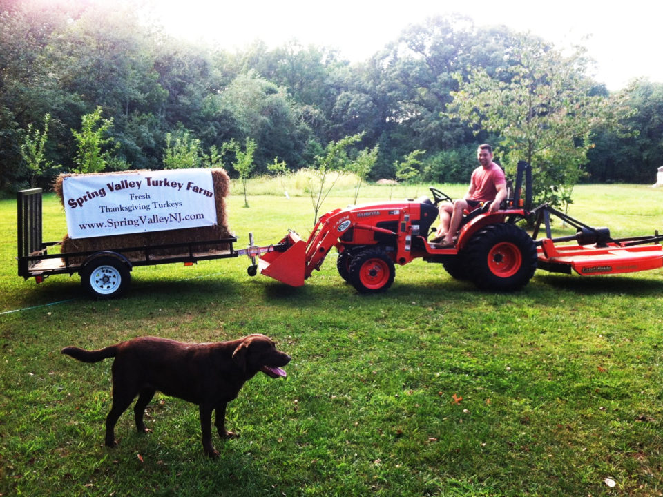 Tractor working on a New Jersey turkey farm with farm dog at Spring Valley Turkey Farm