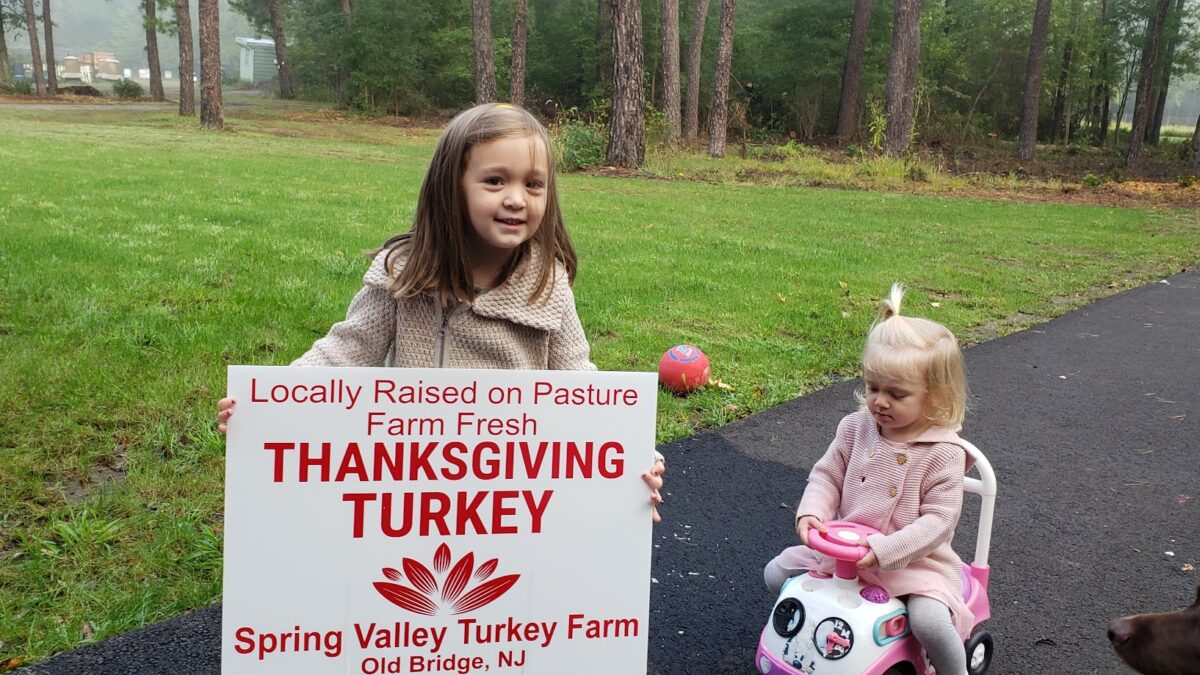 Farm raised Thanksgiving turkey from local farm in Old Bridge NJ near Staten Island