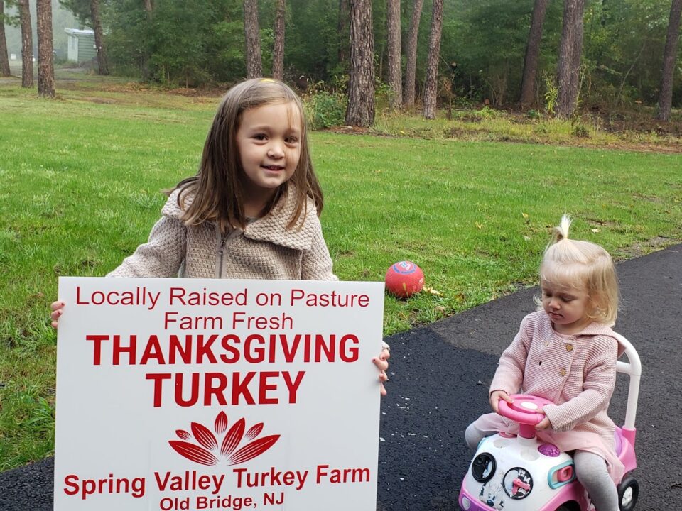 Farm raised Thanksgiving turkey from local farm in Old Bridge NJ near Staten Island