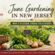 June gardening in New Jersey featuring fresh seasonal produce at Spring Valley Turkey Farm in Old Bridge, NJ