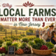 Farmers market in New Jersey featuring fresh local produce, family-owned farms, community vendors, and shoppers supporting local agriculture.