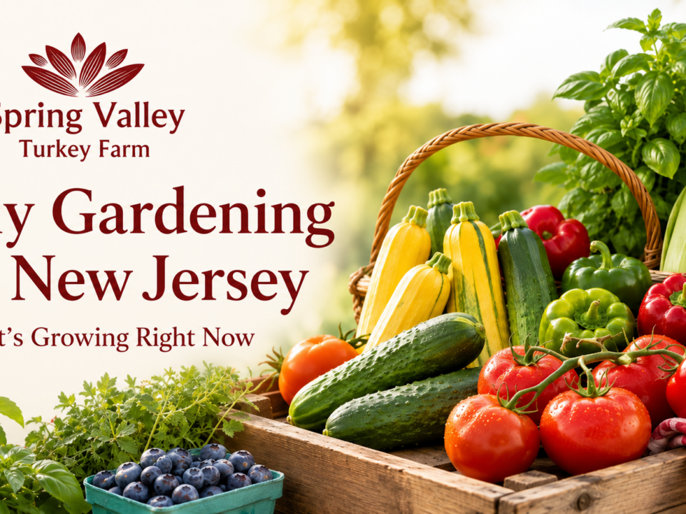 July gardening in New Jersey with fresh tomatoes, cucumbers, zucchini, peppers, corn, blueberries, and herbs beside the Spring Valley Turkey Farm logo.