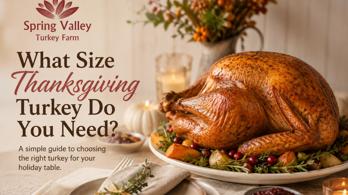 Roasted Thanksgiving turkey on an elegant fall table with the Spring Valley Turkey Farm logo and turkey size guide headline.
