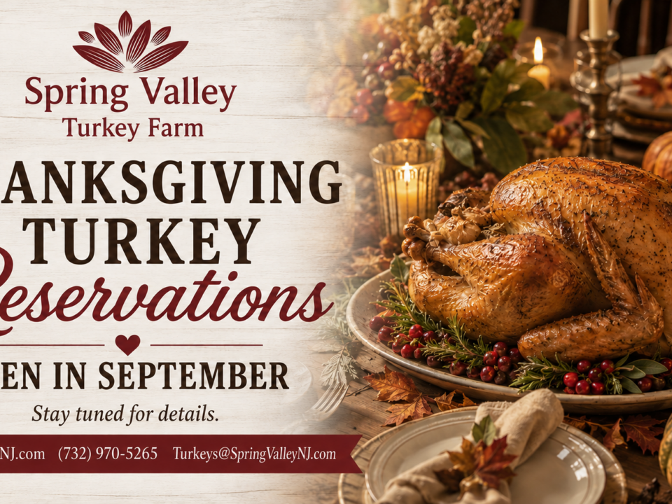 Spring Valley Turkey Farm Thanksgiving turkey reservations open in September with roasted turkey on a fall holiday table